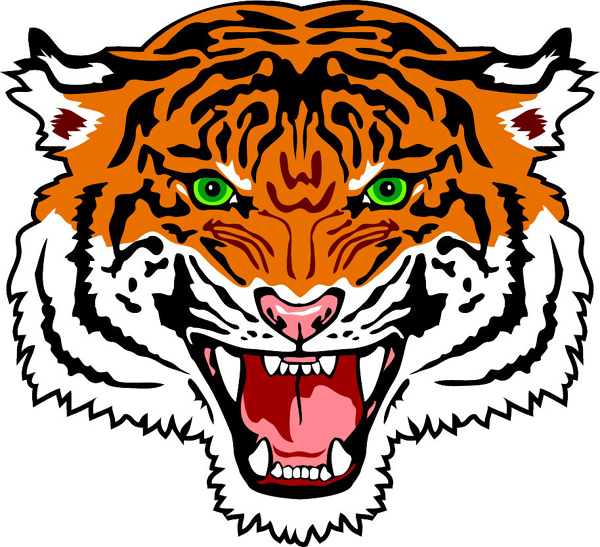 Tiger head team mascot color vinyl sports sticker. Customize as you order. 
